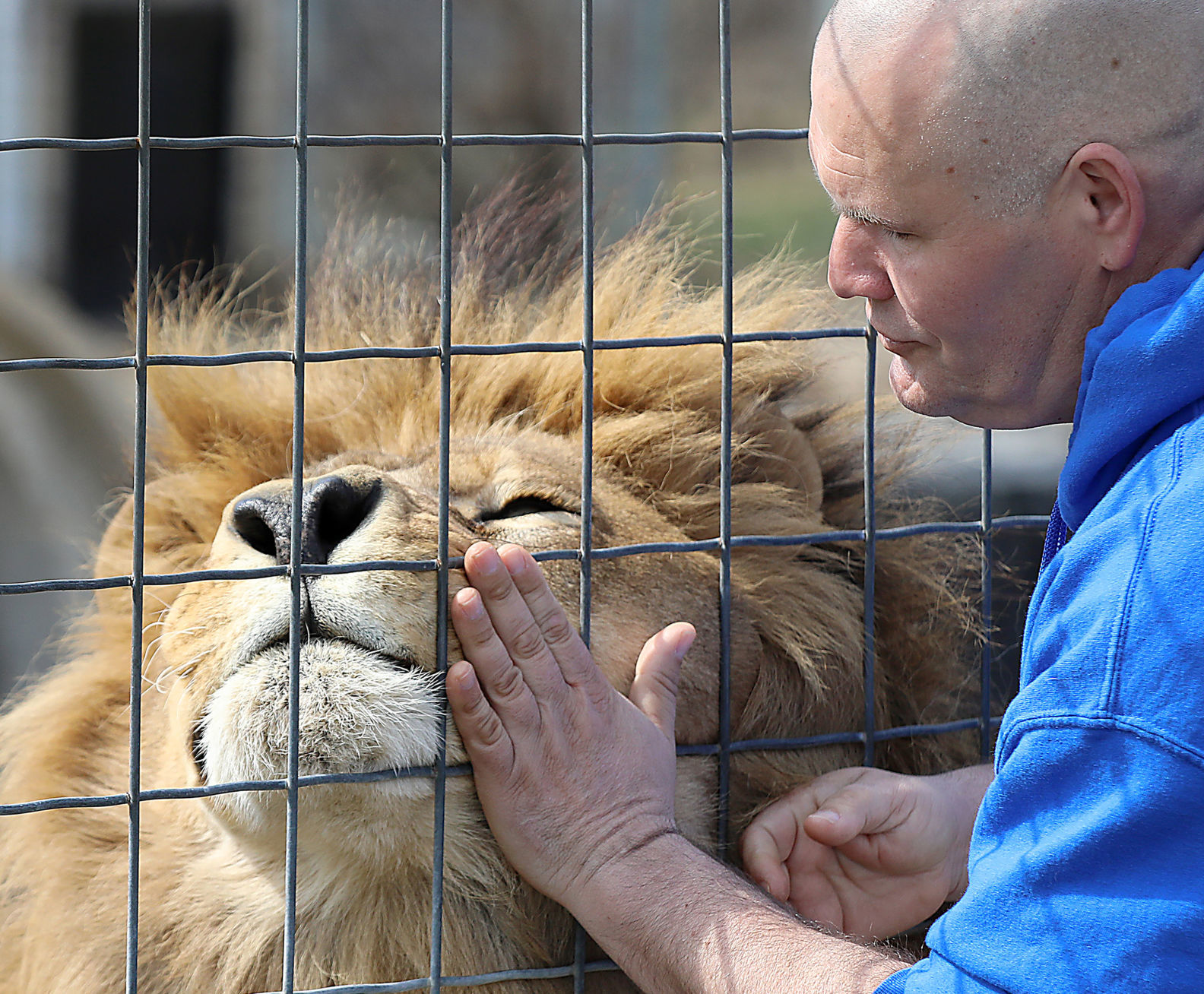 Wisconsin Big Cat Rescue & Education Center